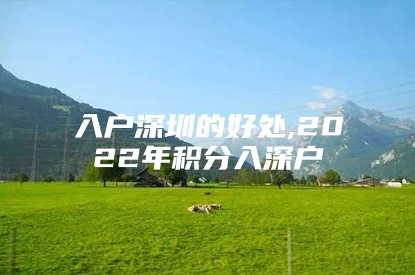 入户深圳的好处,2022年积分入深户
