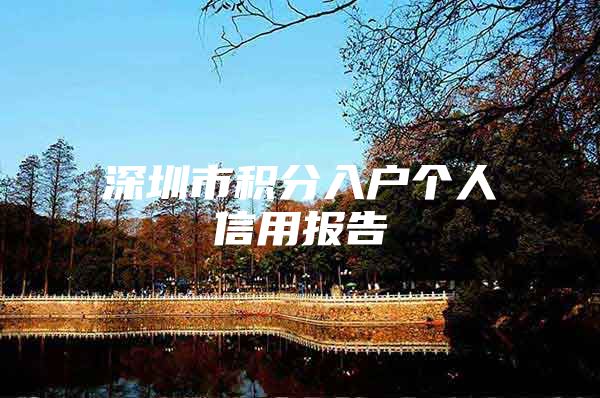 深圳市积分入户个人信用报告