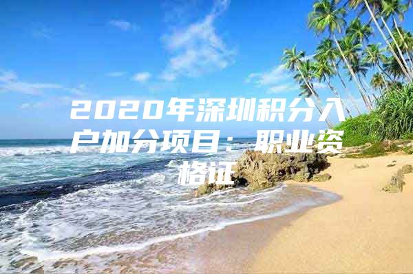 2020年深圳积分入户加分项目：职业资格证