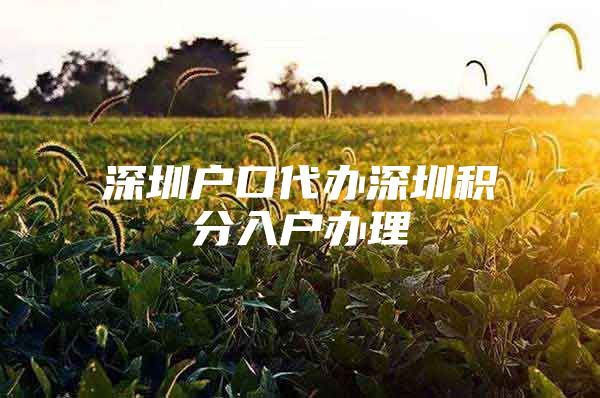 深圳户口代办深圳积分入户办理