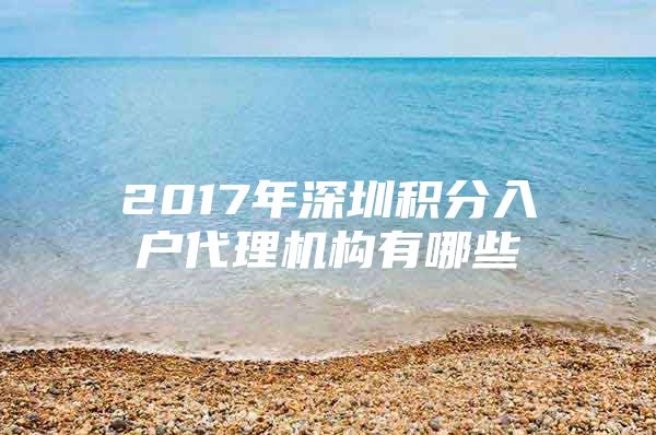 2017年深圳积分入户代理机构有哪些