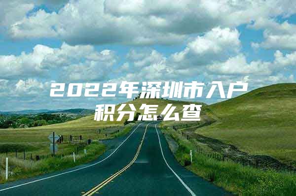 2022年深圳市入户积分怎么查