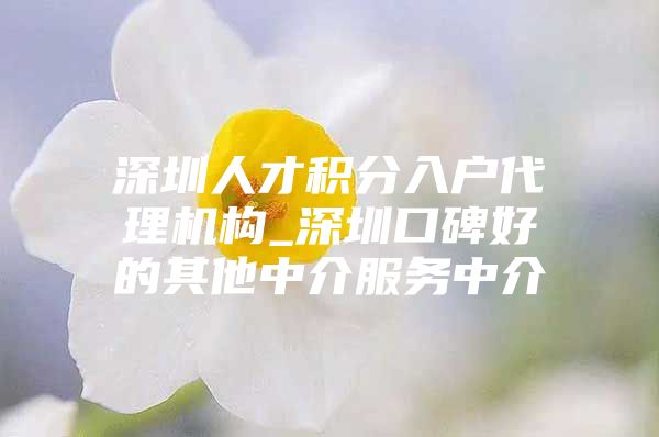 深圳人才积分入户代理机构_深圳口碑好的其他中介服务中介