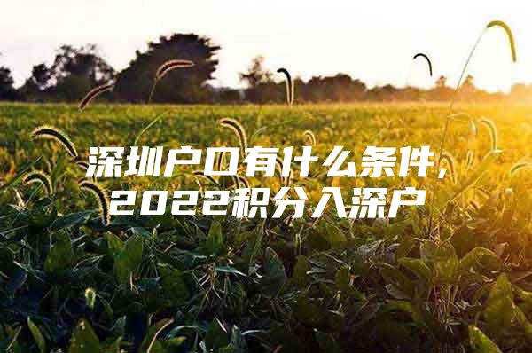 深圳户口有什么条件,2022积分入深户