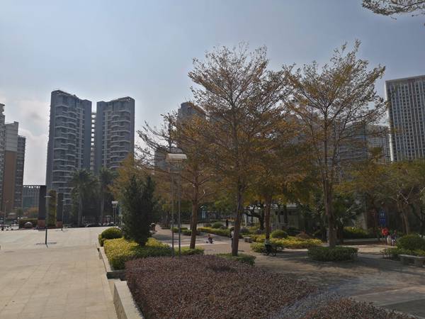 为什么你总觉得深圳积分入户可以自己申请吗很难，可能是没了解这些