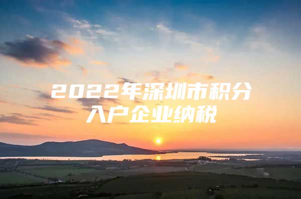 2022年深圳市积分入户企业纳税