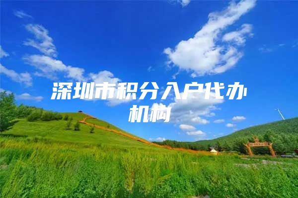 深圳市积分入户代办机构