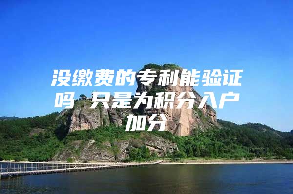 没缴费的专利能验证吗 只是为积分入户加分