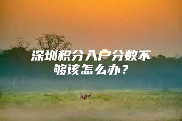 深圳积分入户分数不够该怎么办？