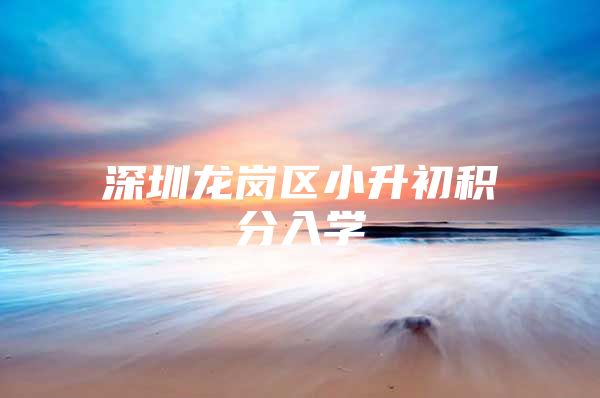 深圳龙岗区小升初积分入学