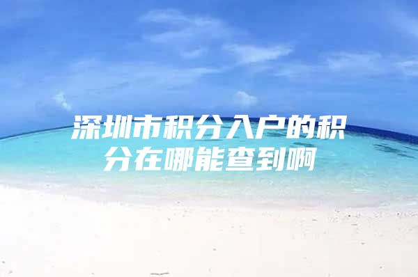 深圳市积分入户的积分在哪能查到啊