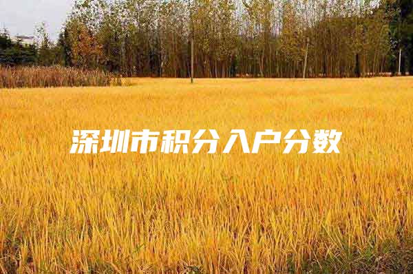 深圳市积分入户分数