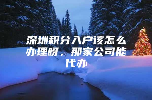 深圳积分入户该怎么办理呀，那家公司能代办