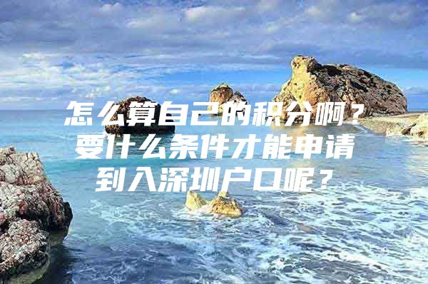 怎么算自己的积分啊？要什么条件才能申请到入深圳户口呢？