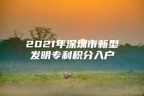 2021年深圳市新型发明专利积分入户