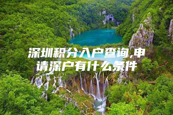 深圳积分入户查询,申请深户有什么条件