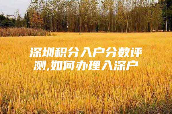 深圳积分入户分数评测,如何办理入深户