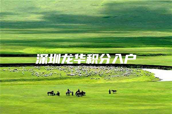 深圳龙华积分入户
