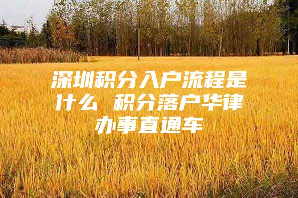 深圳积分入户流程是什么 积分落户华律办事直通车