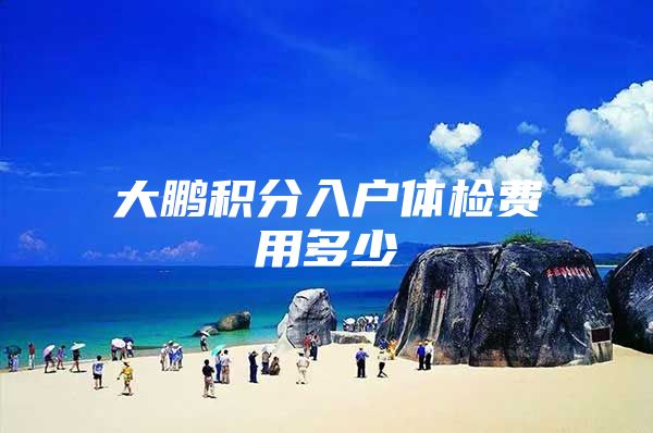 大鹏积分入户体检费用多少