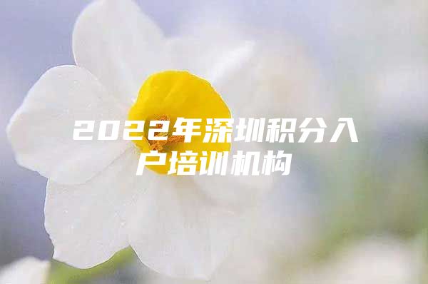 2022年深圳积分入户培训机构